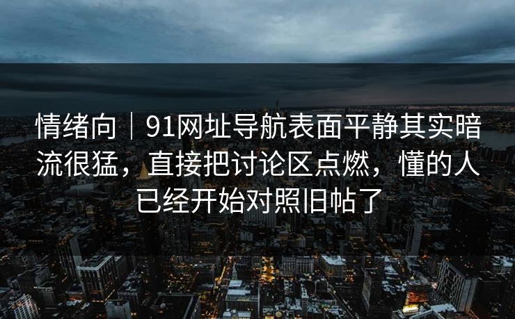情绪向｜91网址导航表面平静其实暗流很猛，直接把讨论区点燃，懂的人已经开始对照旧帖了