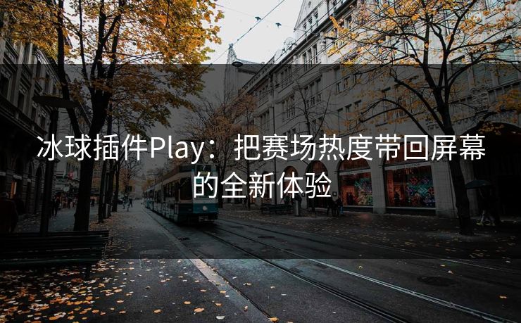 冰球插件Play：把赛场热度带回屏幕的全新体验