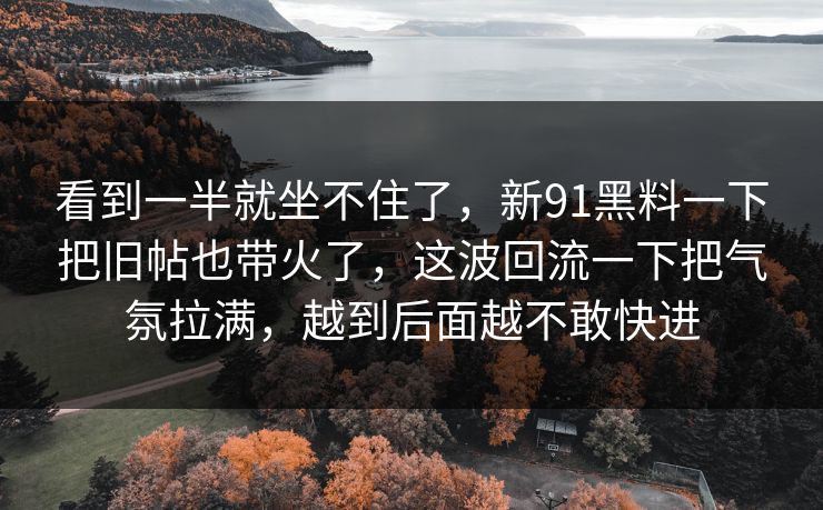看到一半就坐不住了,新91黑料一下把旧帖也带火了,这波回流一下把气氛拉满,越到后面越不敢快进